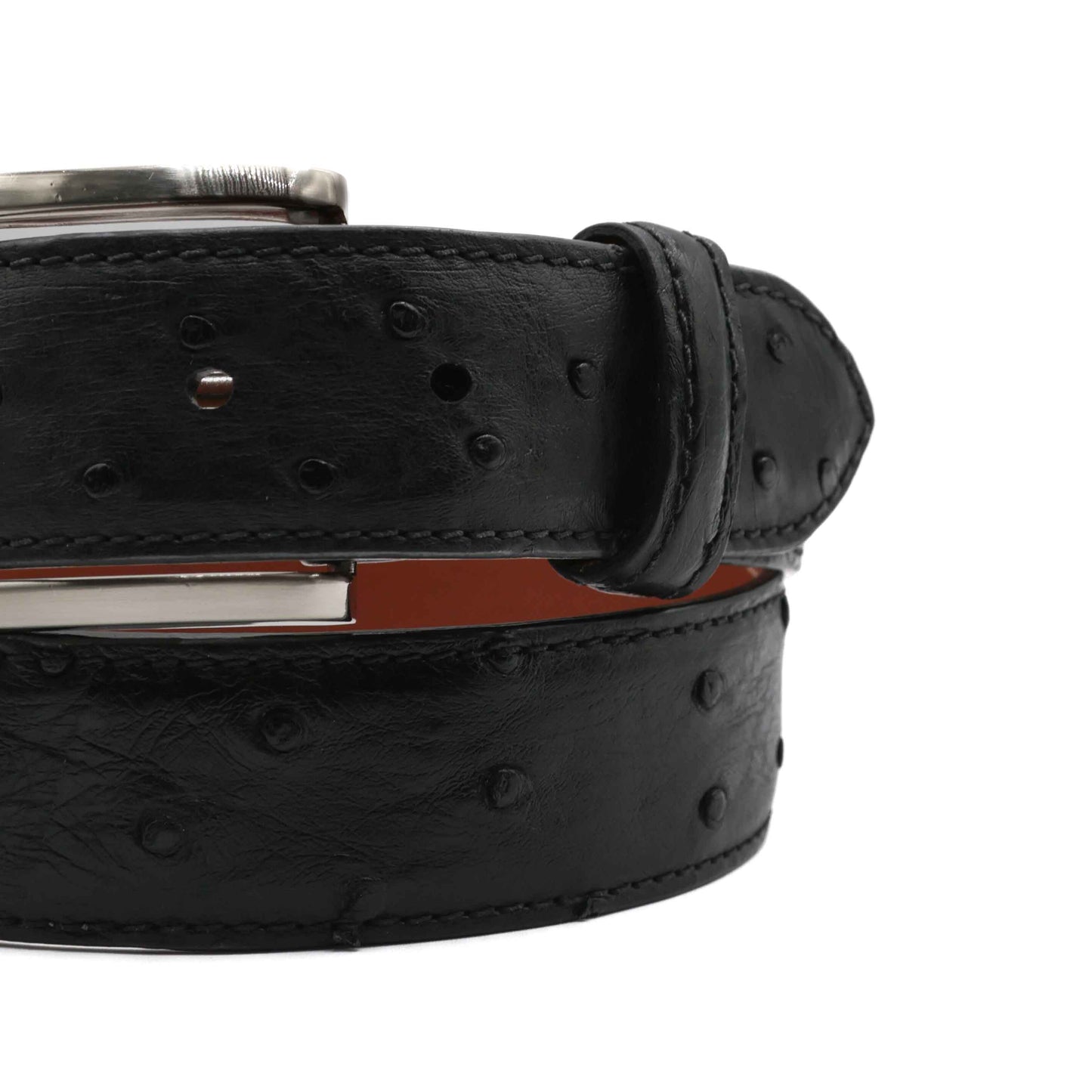 Black Full Quill Ostrich Leather Belt