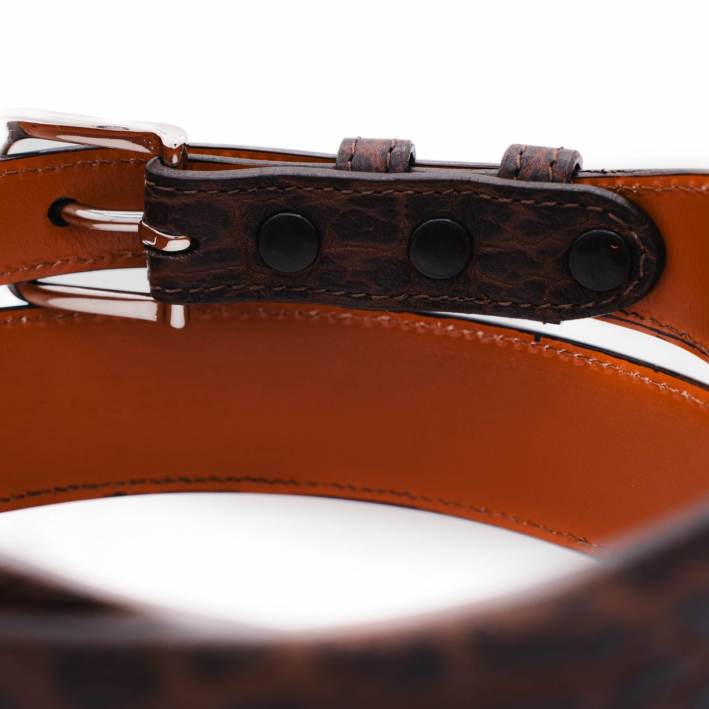 Brown American Bison Leather Tapered Belt