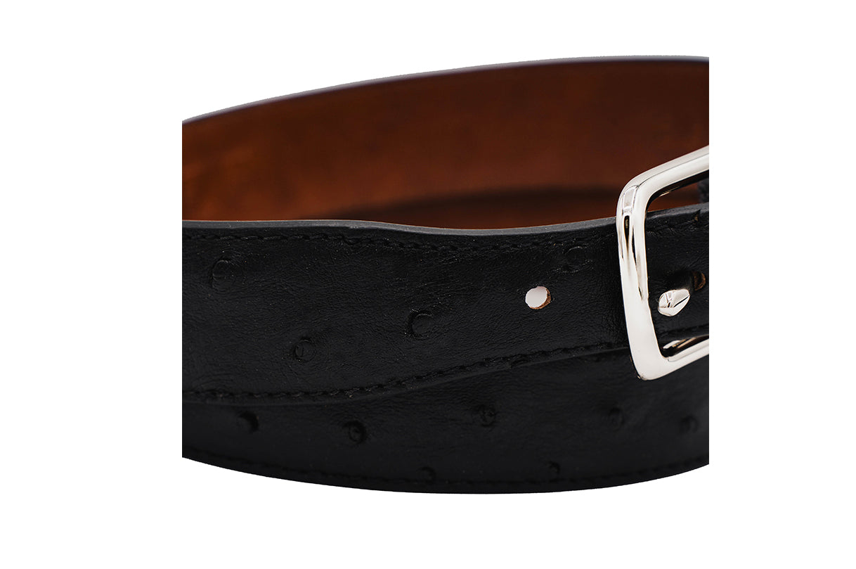 Black Full Quill Ostrich Leather Tapered Belt