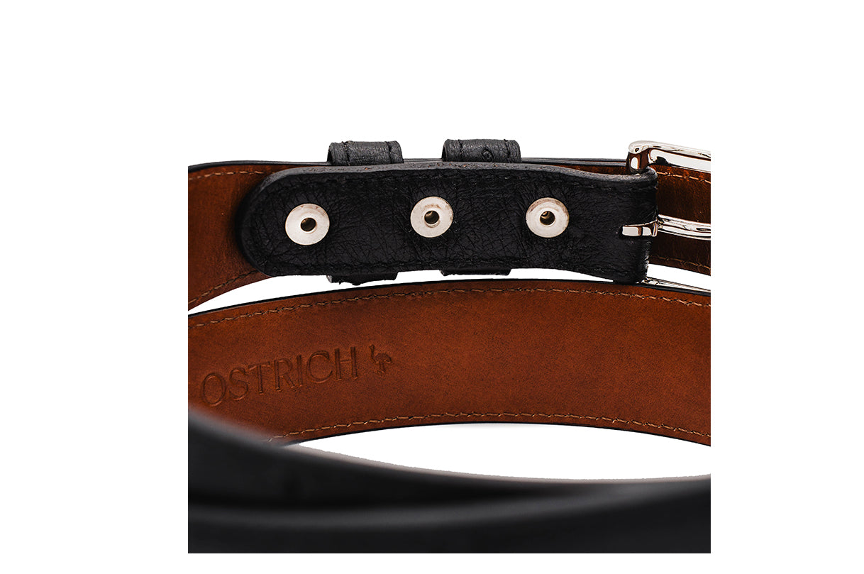 Black Full Quill Ostrich Leather Tapered Belt