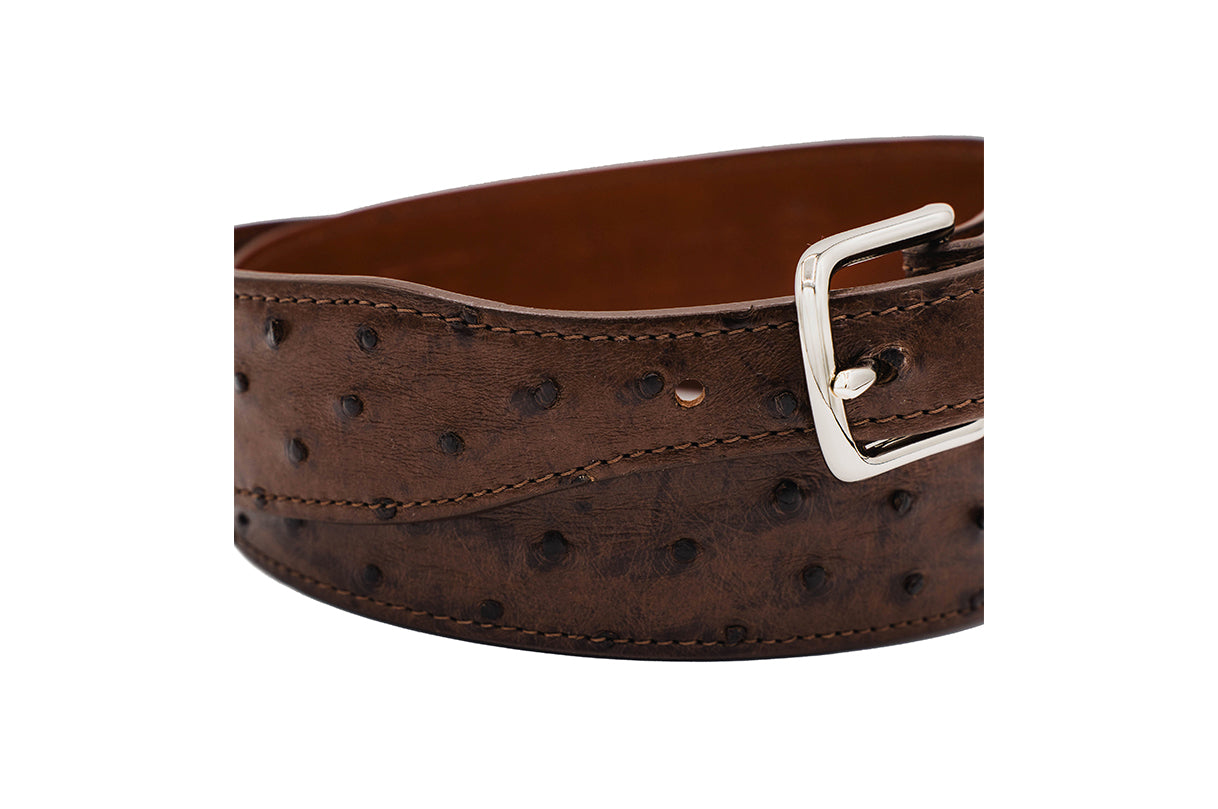 Brown Full Quill Ostrich Leather Tapered Belt