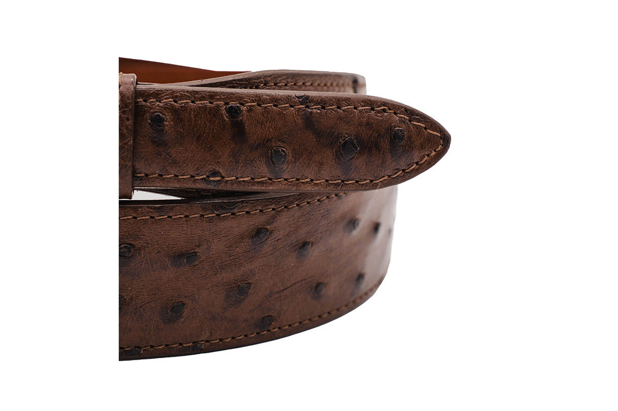Brown Full Quill Ostrich Leather Tapered Belt