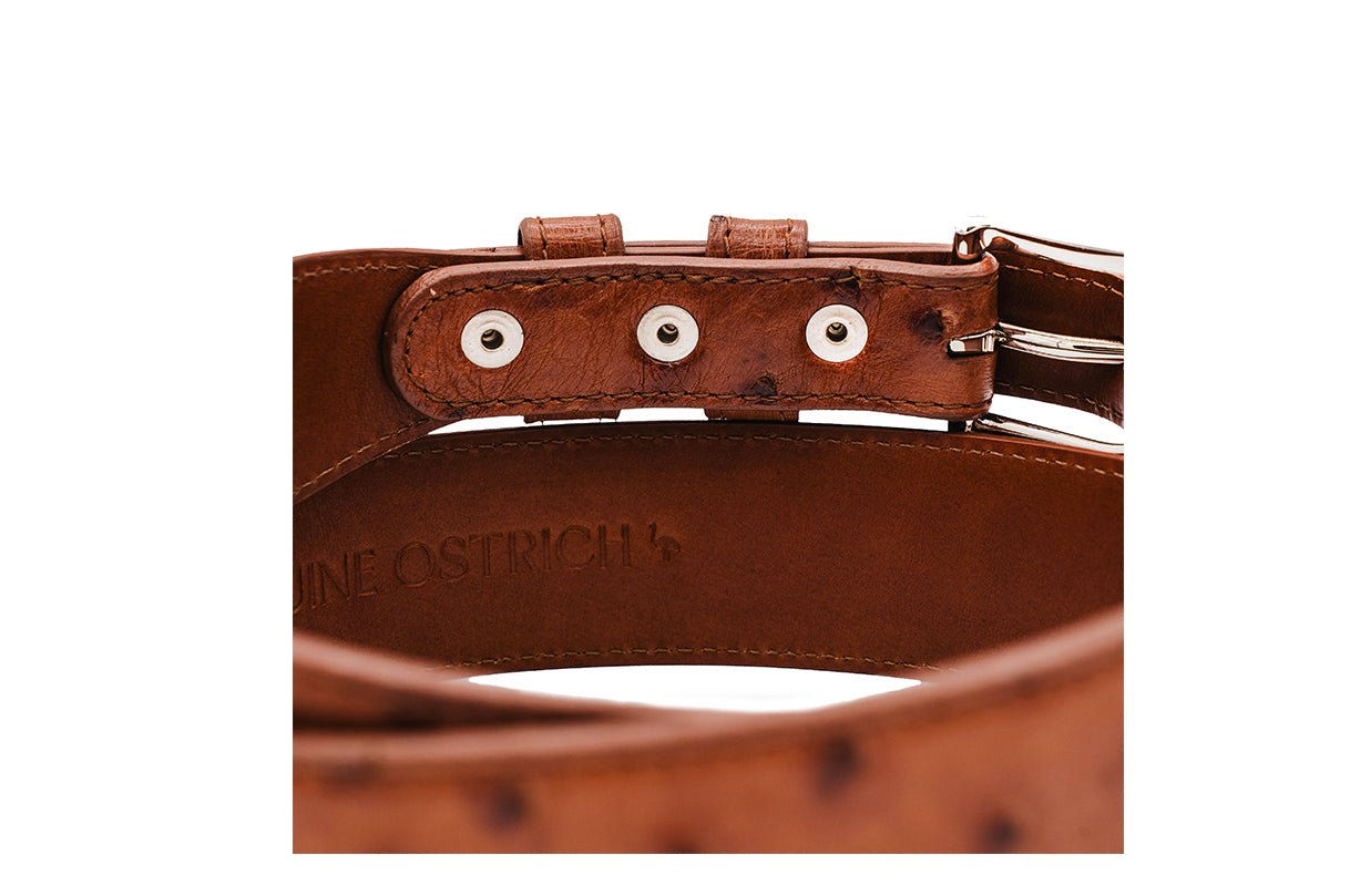 Cognac Full Quill Ostrich Leather Tapered Belt