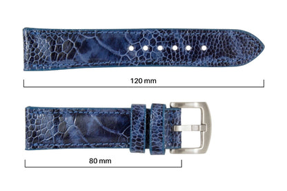 Safari Blue Ostrich Leg Watch Strap