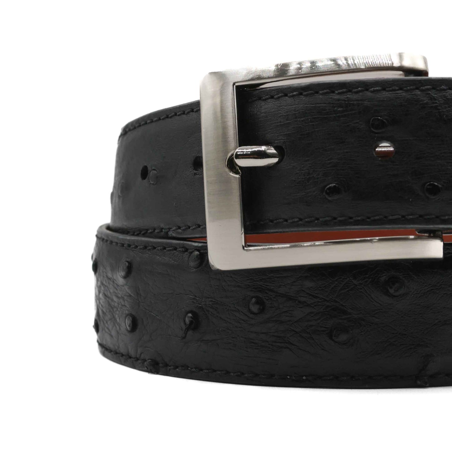 Black Full Quill Ostrich Leather Belt