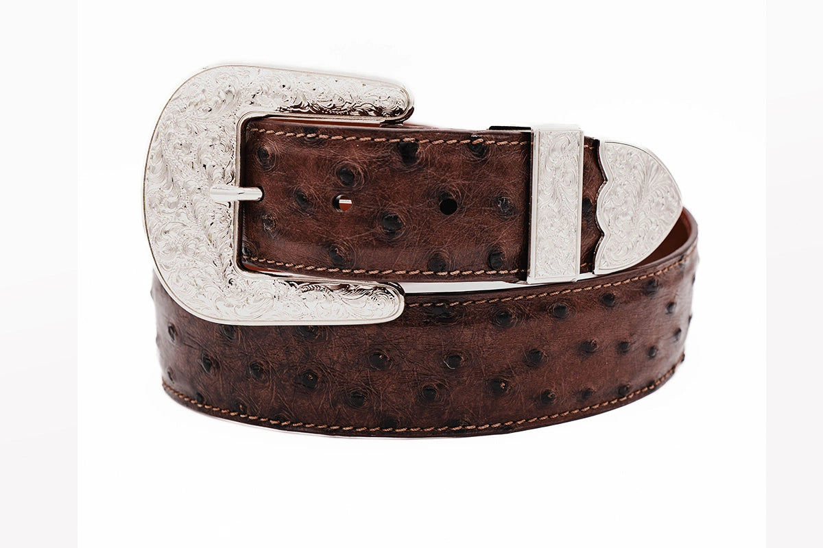 Brown "The Taylor" Full Quill Ostrich Leather Belt