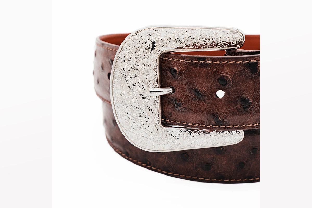 Brown "The Taylor" Full Quill Ostrich Leather Belt