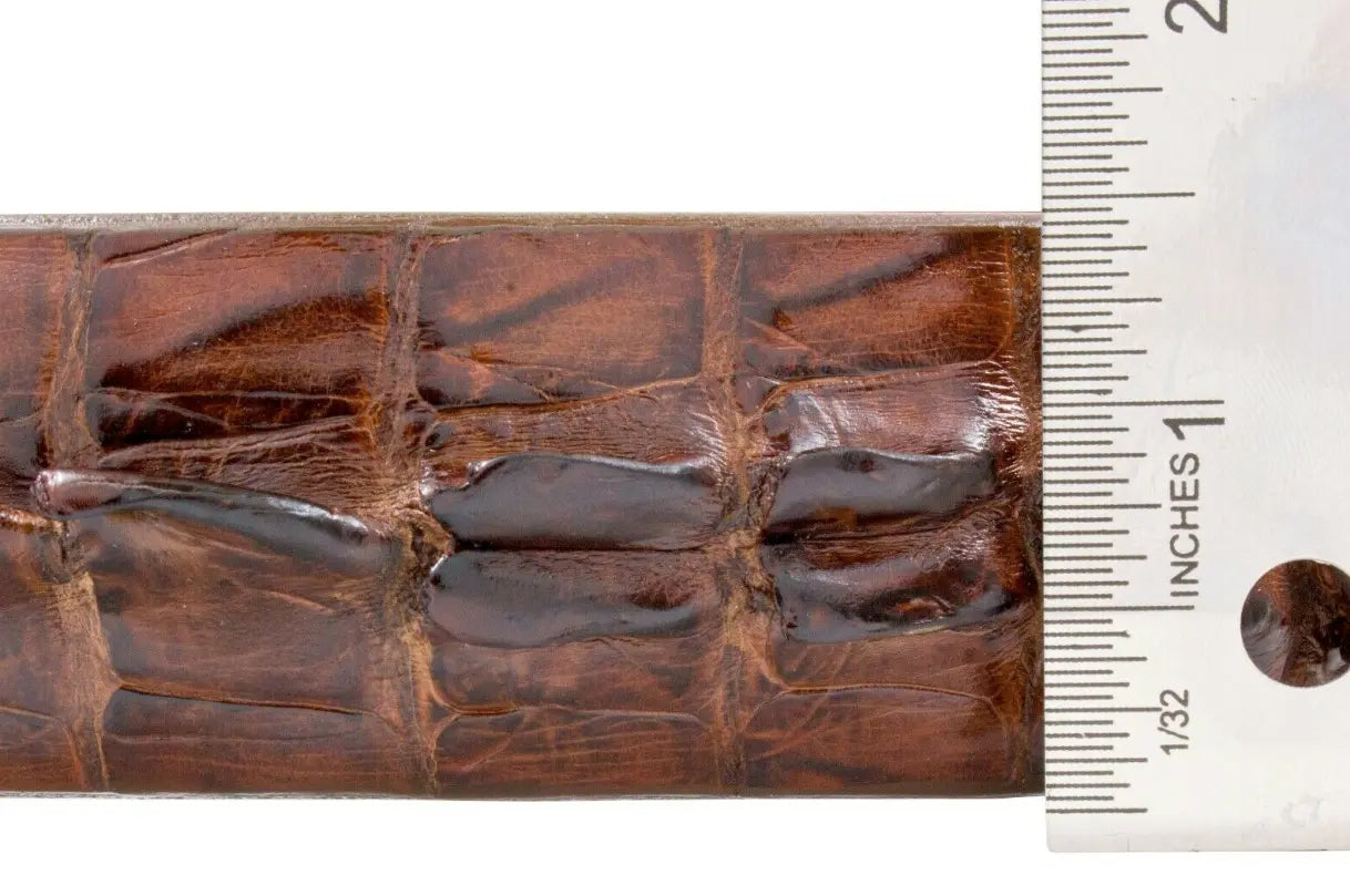 Cigar Brown Alligator Double Tail Leather Belt