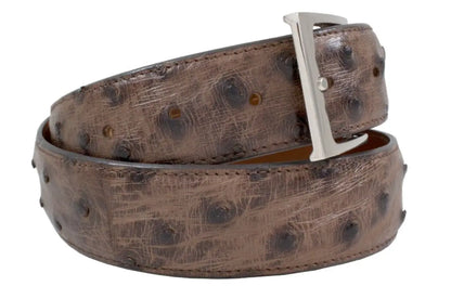 Cigar Bruciato Full Quill Ostrich Leather Belt