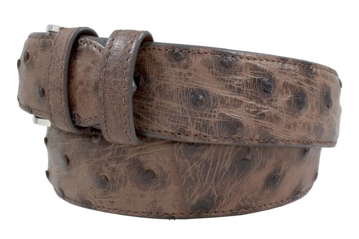 Cigar Bruciato Full Quill Ostrich Leather Belt