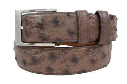 Cigar Bruciato Full Quill Ostrich Leather Belt