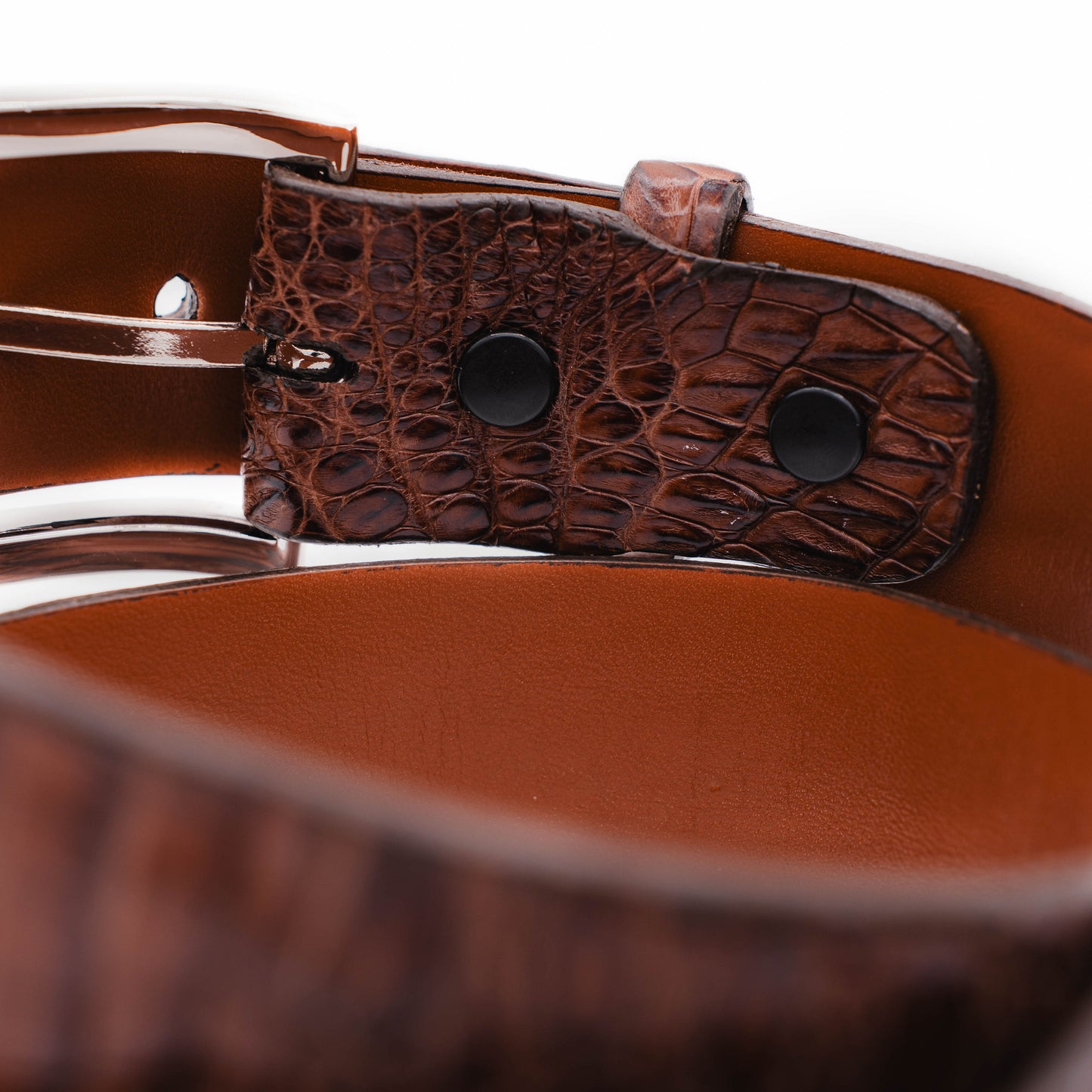 Hornback Cigar Brown Caiman Crocodile Leather Belt