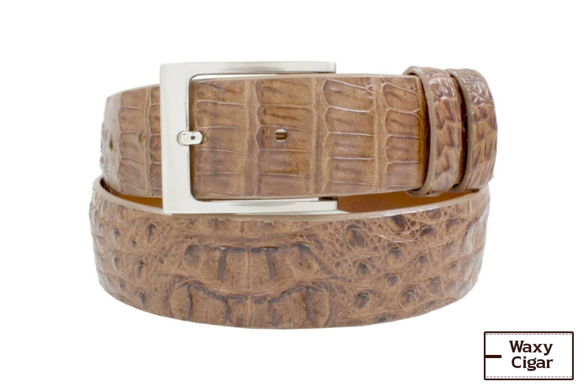 Waxy Cigar Hornback Caiman Crocodile Leather Belt