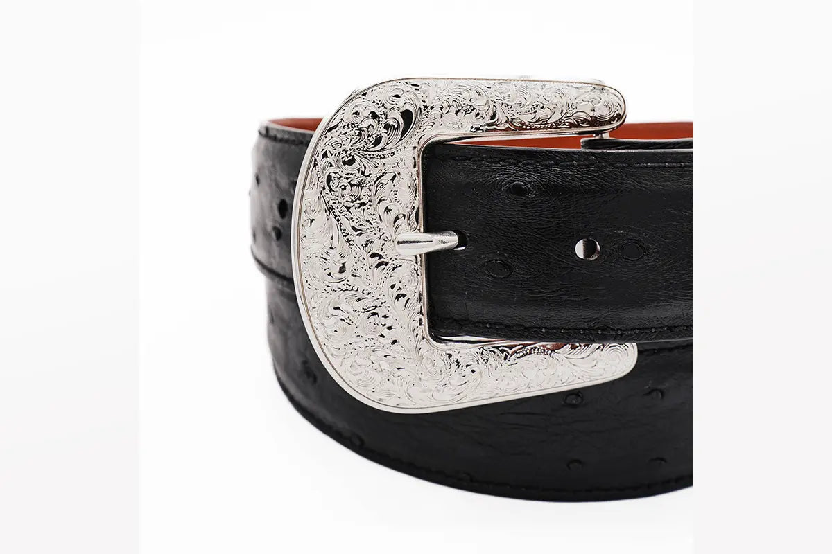 Black "The Taylor" Full Quill Ostrich Leather Belt