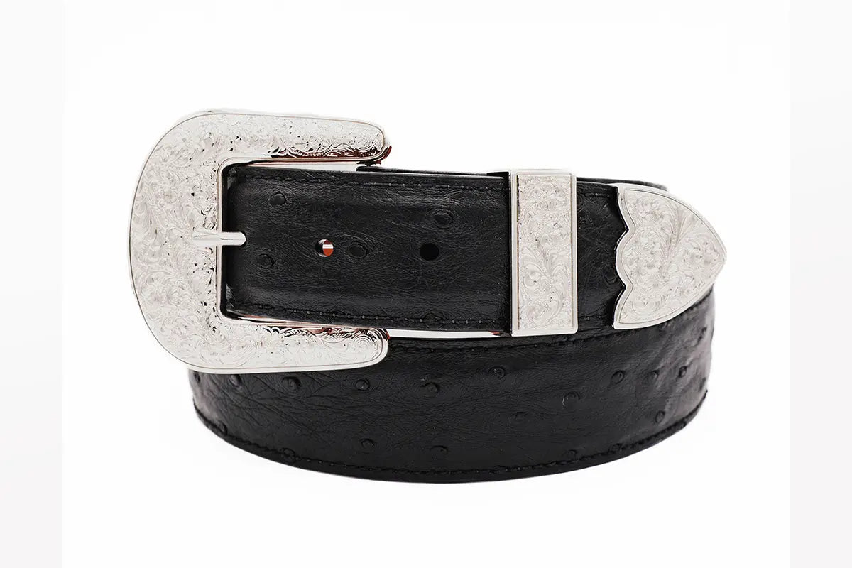 Black "The Taylor" Full Quill Ostrich Leather Belt