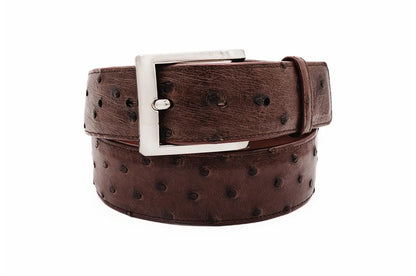 Full Quill Ostrich Brown Leather Belt