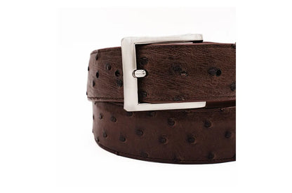 Full Quill Ostrich Brown Leather Belt