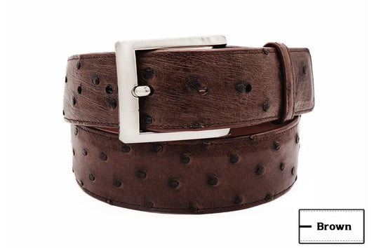 Full Quill Ostrich Brown Leather Belt