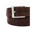 Full Quill Brown Ostrich Leather Belt