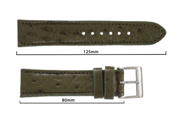 Genuine Handmade Olive Green Full Quill Ostrich Leather Watch Strap (Made in U.S.A)