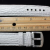 Handmade Genuine White Shark leather Watch Strap