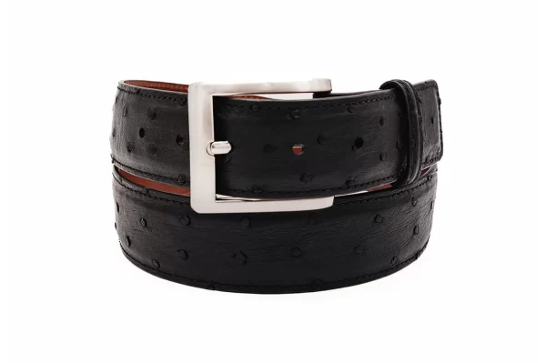 Full Quill Black Ostrich Leather Belt