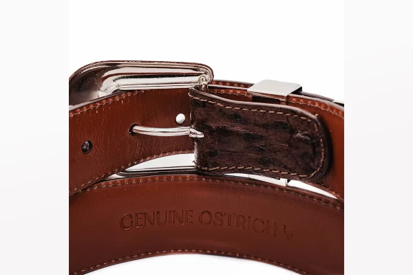 Brown "The Taylor" Full Quill Ostrich Leather Belt
