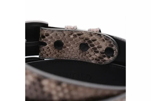 Gray Python Belt with black buckle a